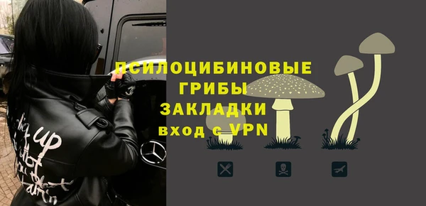 твердый Нязепетровск